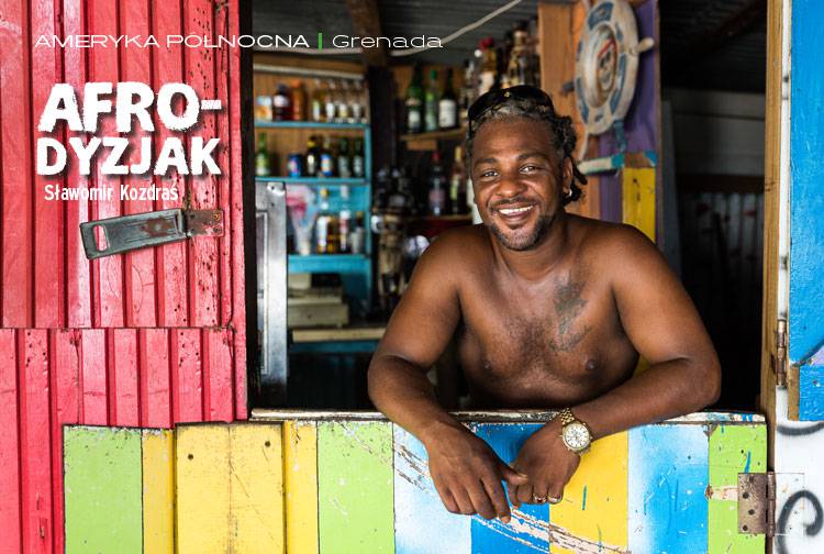 Losowy darmowy artykuł